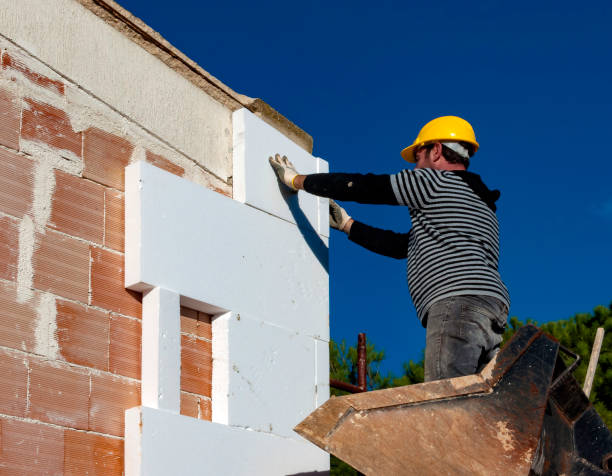 Best Specialized Insulation Services in Mankato, MN